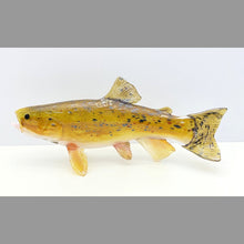 Load image into Gallery viewer, Brown Trout