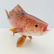 Load image into Gallery viewer, Red Snapper
