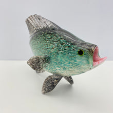 Load image into Gallery viewer, Black Crappie
