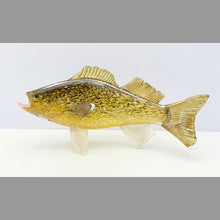 Load image into Gallery viewer, Walleye