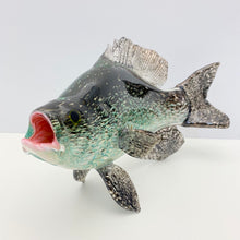 Load image into Gallery viewer, Black Crappie
