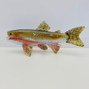 Rainbow Trout