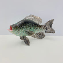 Load image into Gallery viewer, Black Crappie
