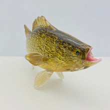 Load image into Gallery viewer, Walleye
