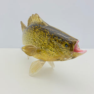Walleye