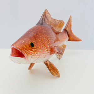 Red Snapper
