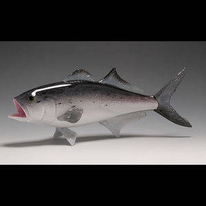 Bluefish