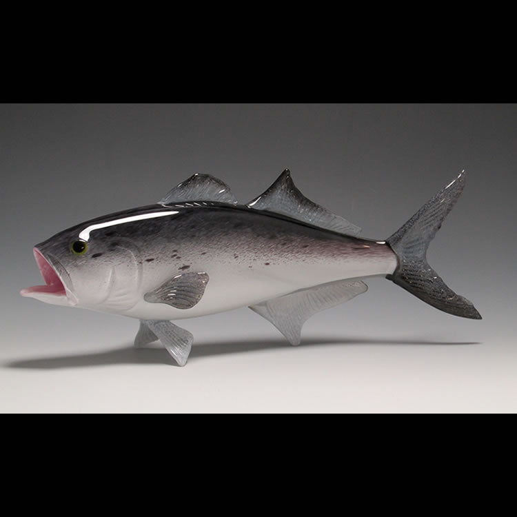 Bluefish