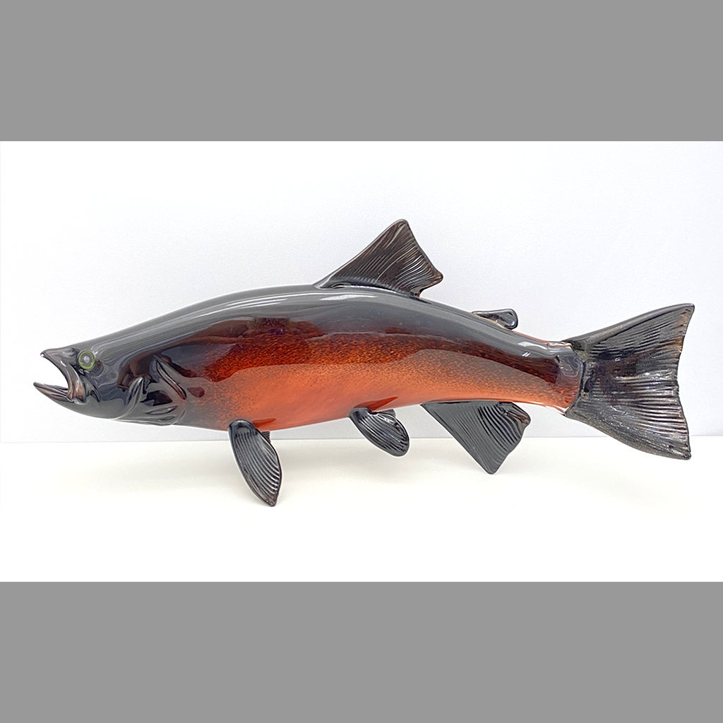 Coho Salmon