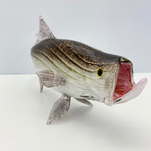 Load image into Gallery viewer, Tarpon
