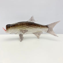 Load image into Gallery viewer, Tarpon
