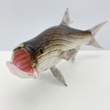 Load image into Gallery viewer, Tarpon
