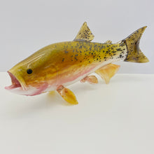 Load image into Gallery viewer, Cutthroat Trout
