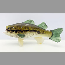 Load image into Gallery viewer, Largemouth Bass
