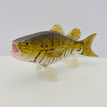 Load image into Gallery viewer, Smallmouth Bass
