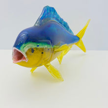 Load image into Gallery viewer, Dorado &quot;Mahi-Mahi&quot;
