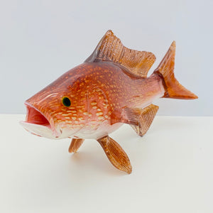 Red Snapper