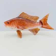 Load image into Gallery viewer, Red Snapper
