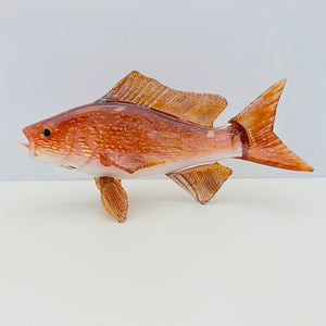 Red Snapper