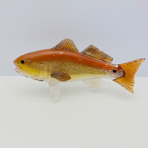 Red Drum