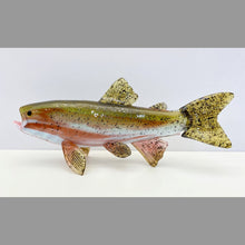 Load image into Gallery viewer, Rainbow Trout
