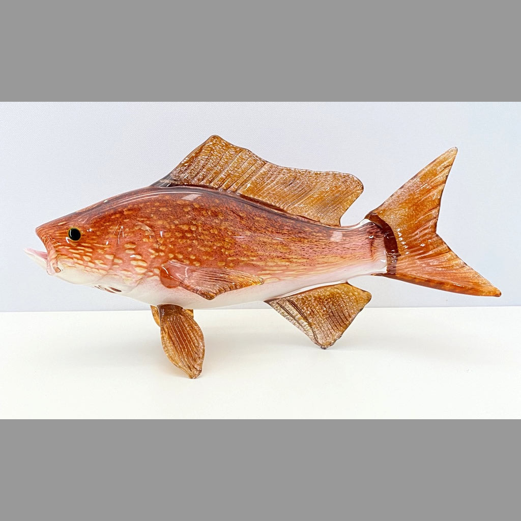 Red Snapper