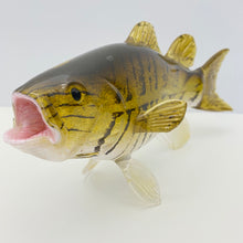 Load image into Gallery viewer, Smallmouth Bass

