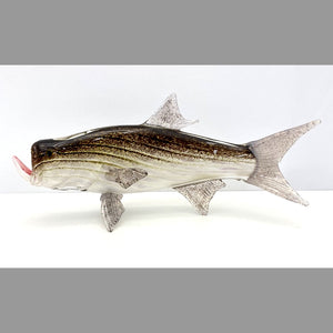 Tarpon