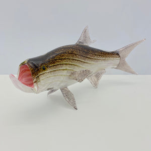 Tarpon