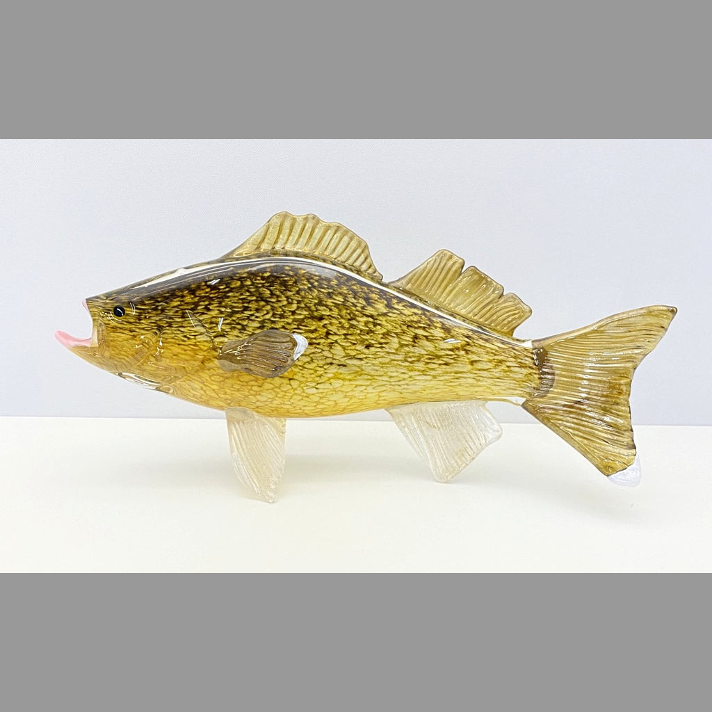 Walleye