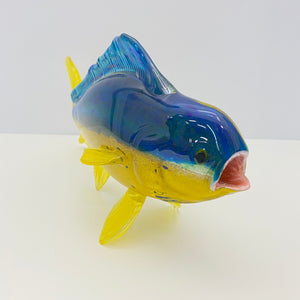 Dorado "Mahi-Mahi"
