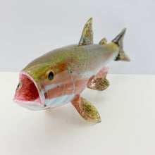 Load image into Gallery viewer, Rainbow Trout
