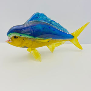 Dorado "Mahi-Mahi"