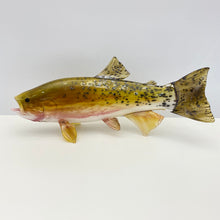 Load image into Gallery viewer, Cutthroat Trout
