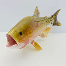 Load image into Gallery viewer, Cutthroat Trout
