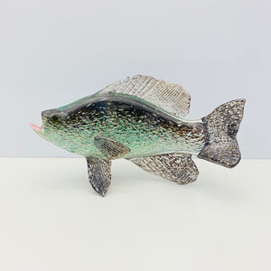 Black Crappie