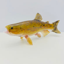 Load image into Gallery viewer, Brown Trout

